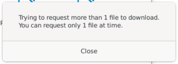 The 'Trying to request more than 1 file' error message