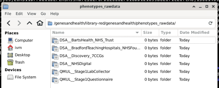 phenotypes_rawdata folder
